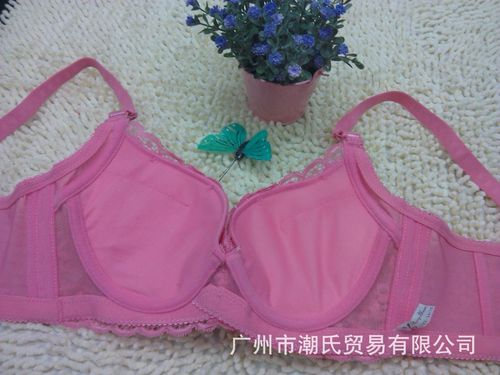 产品中心 文胸 > 雅饰佳人内衣 透气 聚拢文胸/厂家畅销版!